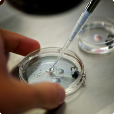 Fecundación in vitro peru