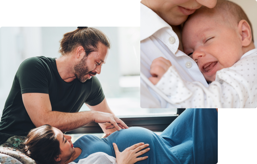 fecundación in vitro